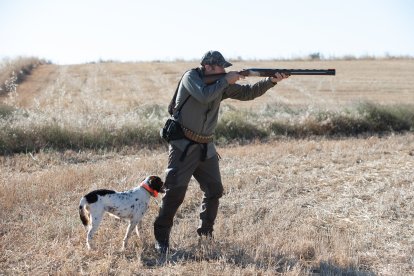 Comienza la media veda de caza en Castilla y León, con buenas expectativas de capturas.