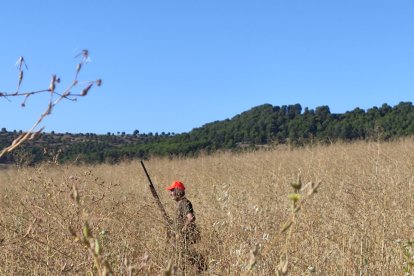 Apertura de la media veda de caza en Castilla y León.