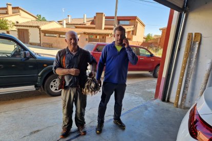 Apertura de la media veda de caza en Castilla y León.