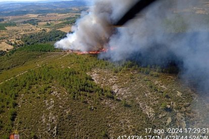 Incendio forestal en Trabazos, Zamora

La Consejería de Medio Ambiente, Vivienda y Ordenación del Territorio ha establecido el nivel 1 en un incendio declarado en el término de Trabazos, en la comarca zamorana de Alcañices, según datos de la plataforma Inforcyl recogidos por Europa Press.

SOCIEDAD 
INFORCYL