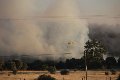 Incendio deTrabazos en Zamora