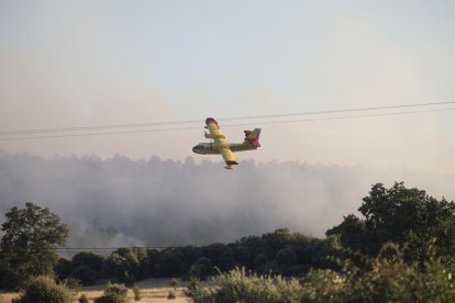 Medios aéreos trabajando ayer en el incendio de Trabazos