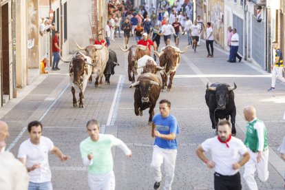 Primer encierro de Cuéllar (Segovia).