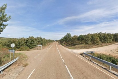 Carretera P-225 en el término de Castrejón de la Peña, Palencia, donde tuvo lugar el accidente