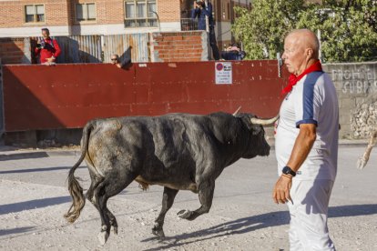 Segundo encierro de las fiestas de Cuéllar