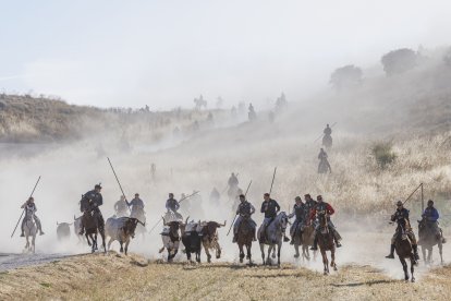 Segundo encierro de las fiestas de Cuéllar