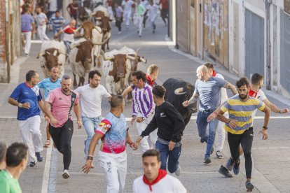 Los toros pasan de tres en tres tanto por el paso de 'Las Máquinas', como por las calles de Cuéllar