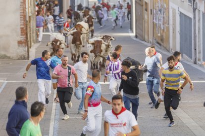 Los toros pasan de tres en tres tanto por el paso de 'Las Máquinas', como por las calles de Cuéllar