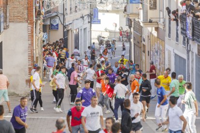 Los toros pasan de tres en tres tanto por el paso de 'Las Máquinas', como por las calles de Cuéllar