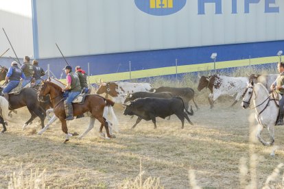 Los toros pasan de tres en tres tanto por el paso de 'Las Máquinas', como por las calles de Cuéllar