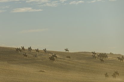 Los toros pasan de tres en tres tanto por el paso de 'Las Máquinas', como por las calles de Cuéllar