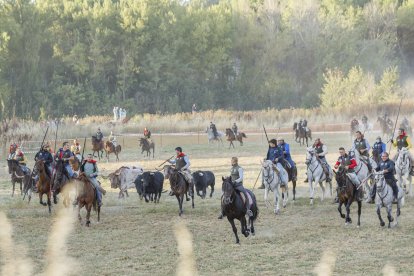 Los toros pasan de tres en tres tanto por el paso de 'Las Máquinas', como por las calles de Cuéllar