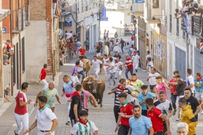 Precioso encierro en su parte urbana con novillos de la ganadería Núñez del Cuvillo