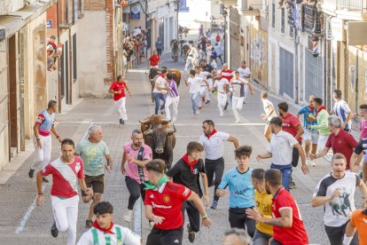 Precioso encierro en su parte urbana con novillos de la ganadería Núñez del Cuvillo