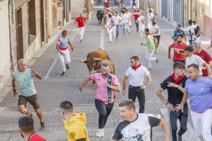 Precioso encierro en su parte urbana con novillos de la ganadería Núñez del Cuvillo