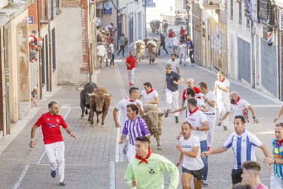 Precioso encierro en su parte urbana con novillos de la ganadería Núñez del Cuvillo