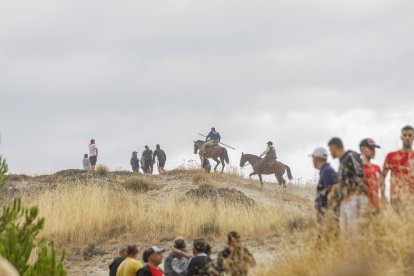 Toros de la ganadería de Cebada Gago en el último encierro de Cuéllar