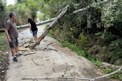 Un tornado a su paso por la localidad abulense de Riofrío.