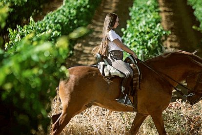 Rutas de senderismo y enoturismo por la Ruta del Vino Rueda