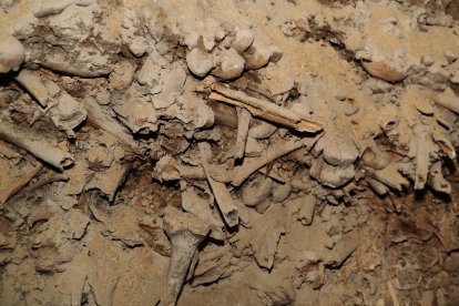 Las obras en la capilla de San Isidro o de San Jerónimo han permitido desenterrar una gran bóveda anterior a la catedral románica,con multitud de restos oseos, situada a la misma profundidad que la de San Antolín, que podría datar de la época visigótica o prerrománica