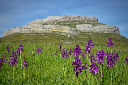 Laboratorio GAD-EX: Acciones de mejora de la biodiversidad a través de la ganadería extensiva en el Geoparque Unesco Las Loras.