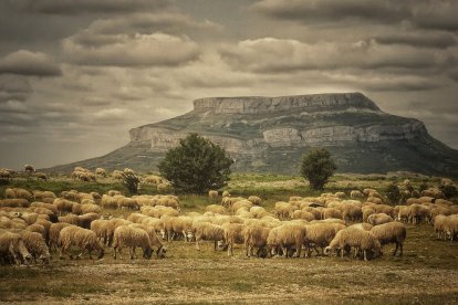 Laboratorio GAD-EX: Acciones de mejora de la biodiversidad a través de la ganadería extensiva en el Geoparque Unesco Las Loras.