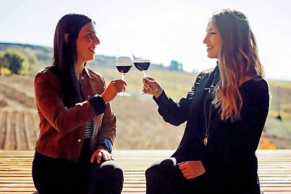 Vinos de familia en la Ruta del Vino El Bierzo