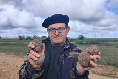 El director de la Cátedra de Micología de la UVa en el campus de Palencia, José Andrés Oria de Rueda, con unos ejemplares de turmas o trufas del desierto.