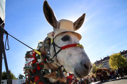 Celebración de la Fiesta de las Cantaderas, desfile de pendones y concurso de carros en la ciudad de León