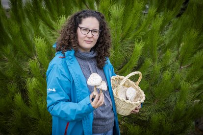 Raquel Martínez, investigadora del Cesefor de Soria.