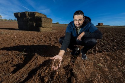 Juan Antonio Alarzón tiene 200 hectáreas en el norte de Burgos.