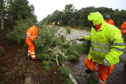 El huracán Kirk causa estragos en la carretera Fuenteguinaldo con Navas Frías (Salamanca)