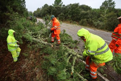 El huracán Kirk causa estragos en la carretera Fuenteguinaldo con Navas Frías (Salamanca)