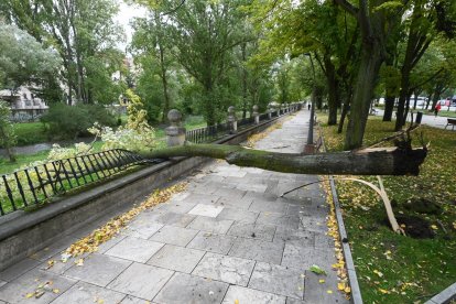 El huracán Kirk causa estragos en Burgos