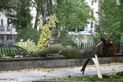 La Policia local de Ciudad Rodrigo precinta la entrada a parques motivado por el temporal de aire y lluvia