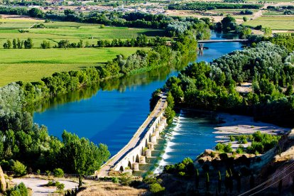 La Ruta de Vino de Toro nace con el objetivo de ofrecer experiencias que ‘dejen huella’. Es la alternativa perfecta para un fin de semana de turismo de interior, en una zona repleta de historia, patrimonio, cultura y gastronomía y con una enorme tradición vinícola de calidad.