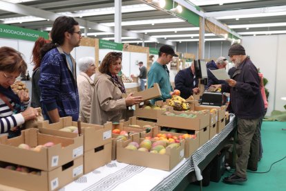 XX Feria Hispano-lusa de Productos Ecológicos 'Ecocultura 2024' en Zamora.