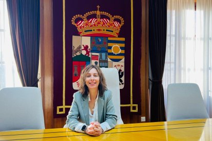 Vicepresidenta Tercera de la Diputación de Zamora