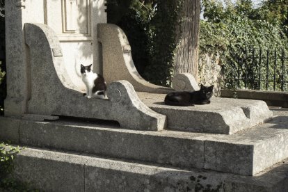 Día de Todos los Santos en el cementerio municipal de Cacabelos (León)