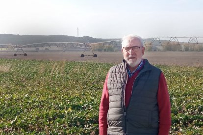 José Luis posa en una plantación de remolacha de la cooperativa.