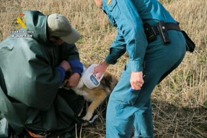 La Guardia Civil con el perro que causó la muerte a una persona en Barrios de la Vega.