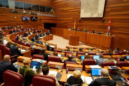 Pleno de las Cortes de Castilla y León de este martes.