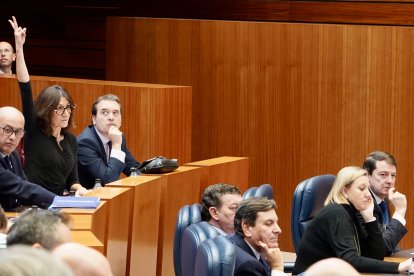 Bancada del PP durante una votación en el pleno de las Cortes.