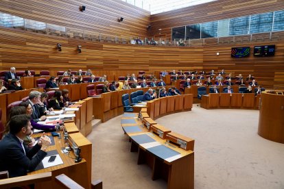 Pleno de las Cortes de Castilla y León.