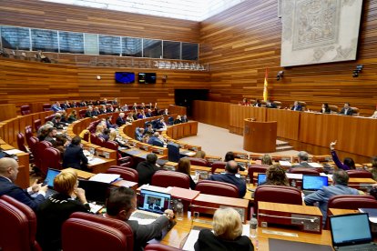 Pleno de las Cortes de Castilla y León.