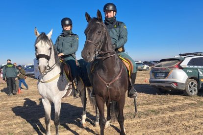 La Guardia Civil desarrolla el dispositivo operativo especial para el LXXXVII Campeonato de España de Galgos