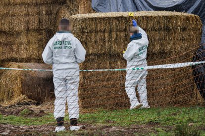 Policía científica en la finca cercana a Ciudad Rodrigo donde apareció un joven sin vida