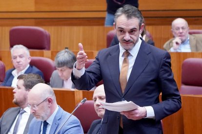 El portavoz de Vox, David Hierro. ICAL