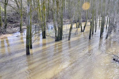 Río Pedrajas en Soria.