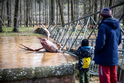 Pasarela sobre el río Duero en el Soto Playa de Soria, en Soria